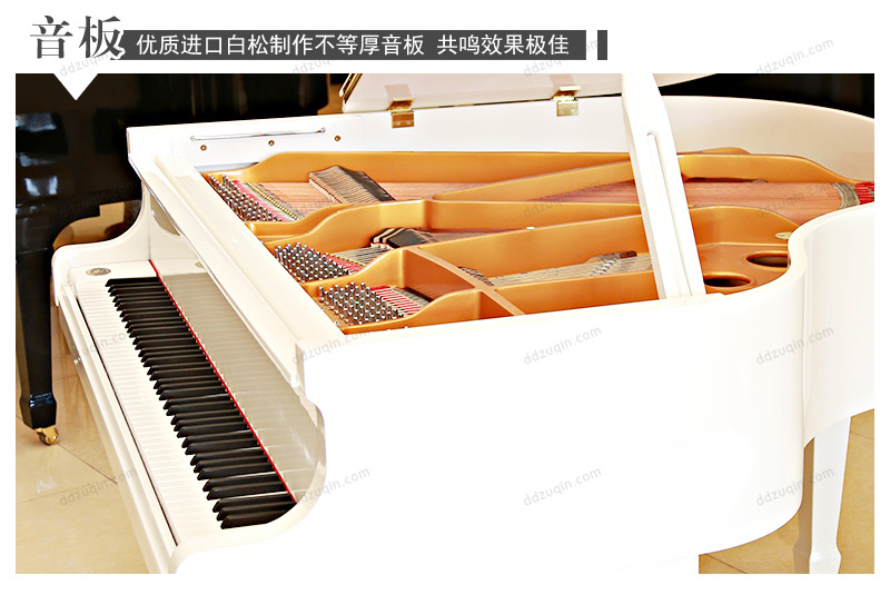 珠江GP-148白色 GP-148白色钢琴出租-钢琴出租网站丁丁租琴