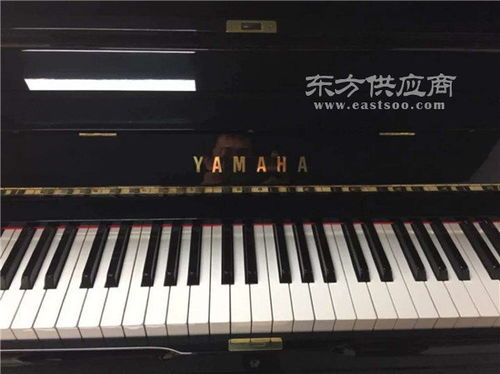 进口钢琴 哪里买 进口钢琴 深圳三禾乐器 查看