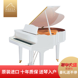 白色钢琴介绍_白色钢琴