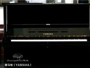 图 深圳钢琴厂批发原装进口雅马哈yamaha 卡哇伊kawa 深圳文体 乐器