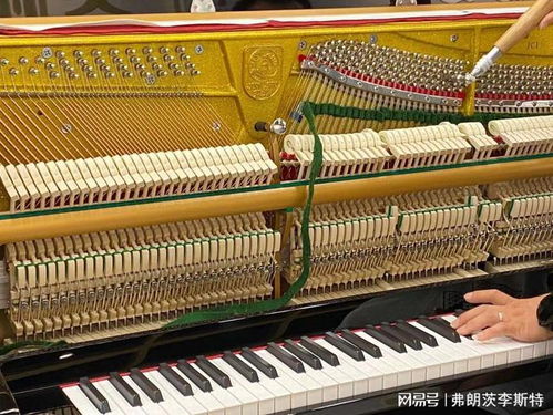 天津钢琴购买指南 琴行推荐与进口钢琴选购建议