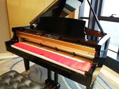 重要通知 进口欧洲钢琴清关问题解决方案